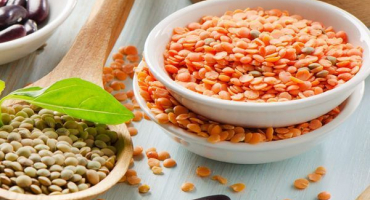 Užitečné vlastnosti a poškození čočky pro lidské zdraví